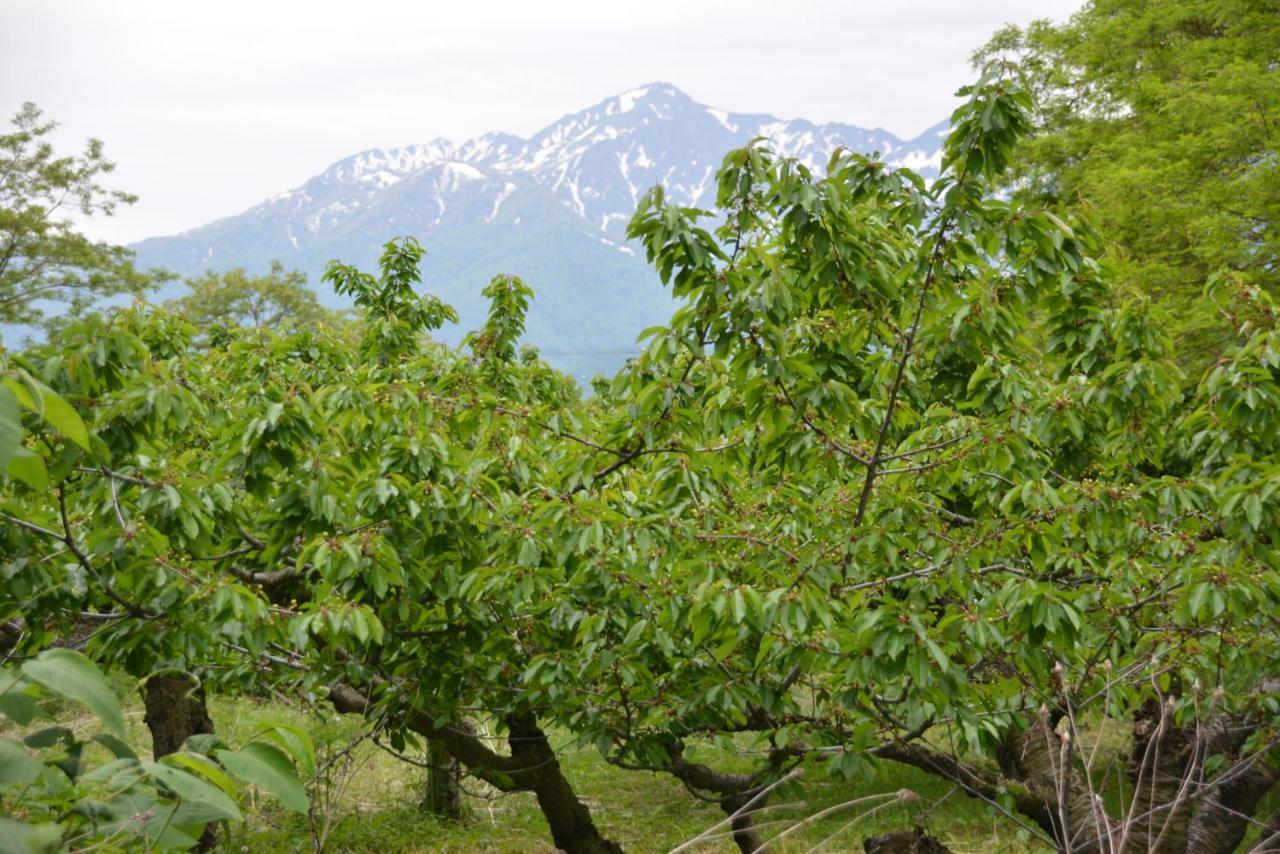 Вилла 鹿家 Furano Dear House Экстерьер фото